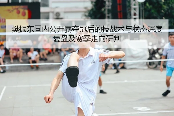 樊振东国内公开赛夺冠后的技战术与状态深度复盘及赛季走向研判